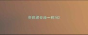 贵宾跟泰迪一样吗