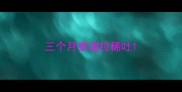 三个月泰迪拉稀吐