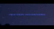 小狗吐虫子还能活吗科学应对指南及预防措施全
