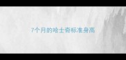 7个月的哈士奇标准身高