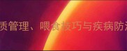 宠物娃娃鱼养殖全攻略水质管理喂食技巧与疾病防治指南附新手避坑指南