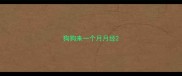 狗狗来一个月月经