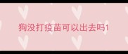 狗没打疫苗可以出去吗