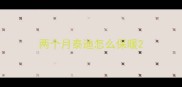 两个月泰迪怎么保暖