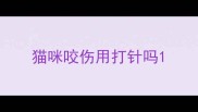 猫咪咬伤用打针吗