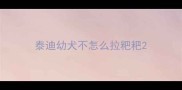 泰迪幼犬不怎么拉粑粑