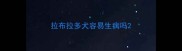 拉布拉多犬容易生病吗