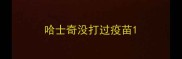 哈士奇没打过疫苗