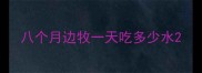 八个月边牧一天吃多少水