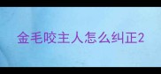 金毛咬主人怎么纠正