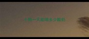 小狗一天能喝多少酸奶