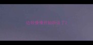 边牧慢慢开始听话了