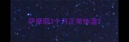 萨摩耶3个月正常体温