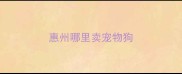 惠州哪里卖宠物狗