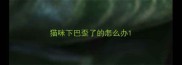 猫咪下巴歪了的怎么办