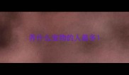 养什么宠物的人最多