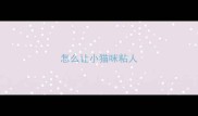 怎么让小猫咪粘人