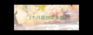 2个月高加索多重