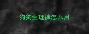 狗狗生理裤怎么用