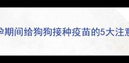 孕期养狗必看怀孕期间给狗狗接种疫苗的5大注意事项与疫苗选择全