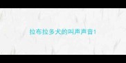 拉布拉多犬的叫声声音
