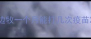 边牧一个月能打几次疫苗