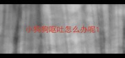 小狗狗呕吐怎么办呢