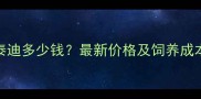 北京花泰迪多少钱最新价格及饲养成本全指南