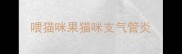 喂猫咪果猫咪支气管炎