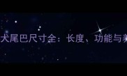 拉布拉多犬尾巴尺寸全长度功能与养护指南