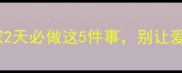 新手必看拉布拉多带回家2天必做这5件事别让爱犬生病附超全驯养指南