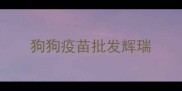 狗狗疫苗批发辉瑞