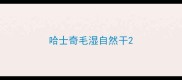 哈士奇毛湿自然干