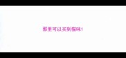 那里可以买到猫咪