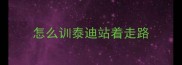 怎么训泰迪站着走路