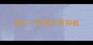 狗打了疫苗还得狗瘟