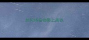 如何将宠物带上高铁