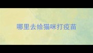 哪里去给猫咪打疫苗