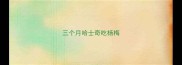 三个月哈士奇吃杨梅