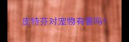 皮特芬对宠物有害吗