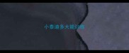 小泰迪多大能训练