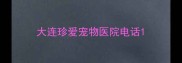 大连珍爱宠物医院电话