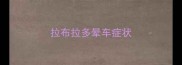 拉布拉多晕车症状