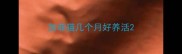 加菲猫几个月好养活