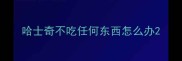 哈士奇不吃任何东西怎么办