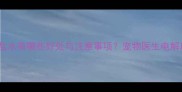 狗狗科学喝盐水有哪些好处与注意事项宠物医生电解质平衡关键