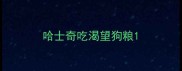 哈士奇吃渴望狗粮