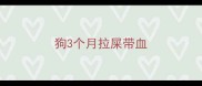 狗3个月拉屎带血