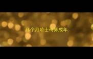 几个月哈士奇算成年