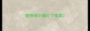 宠物细小病打了疫苗